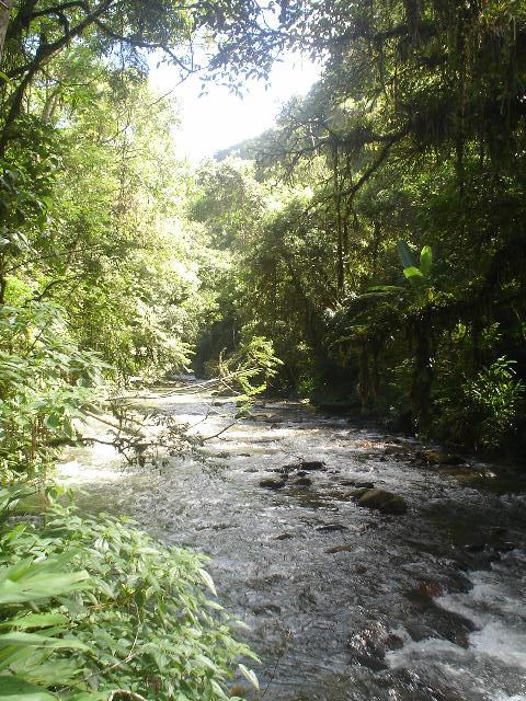 Rio Bethary - em Iporanga SP (PETAR)